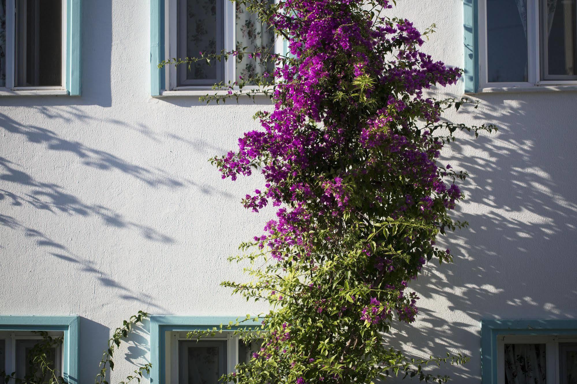 Istanbul Hotel Bodrum Turkbuku Bagian luar foto