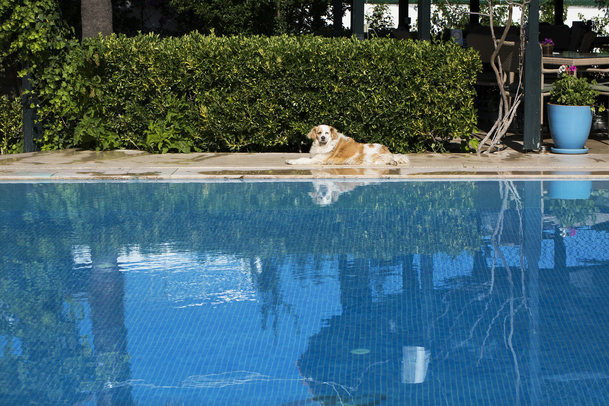 Istanbul Hotel Bodrum Turkbuku Bagian luar foto